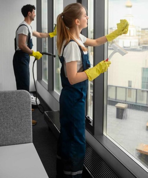Best Cleaners in USA and Arizona